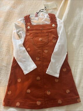 Max Studio Rust Orange Pumpkin-Embroidered Pinafore Dress